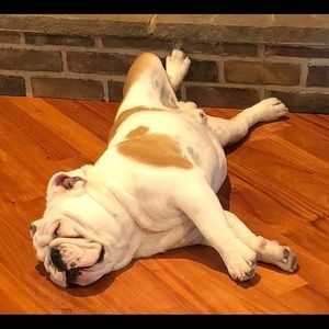 Meet your Posher, Kim